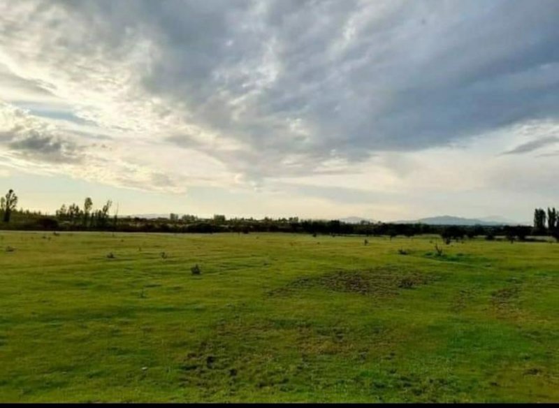 Agricola en Venta en Piguchen Retiro, Talca