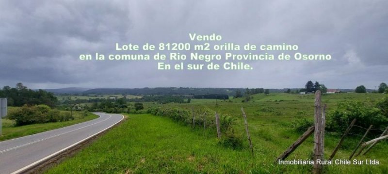 Agricola en Venta en  Río Negro, Osorno