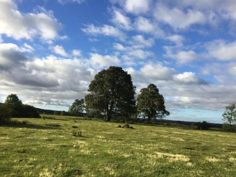 Agricola en Venta en  Fresia, Llanquihue