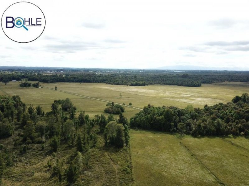 Agricola en Venta en  Puerto Montt, Llanquihue