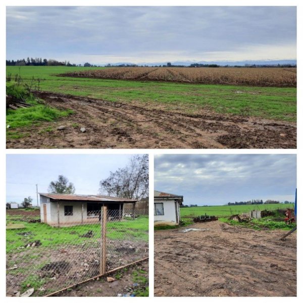 Agricola en Venta en Agricola Pelarco, Talca