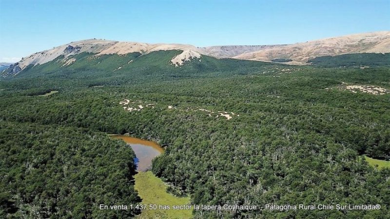 Agricola en Venta en Aysen Lago Verde, Coihaique