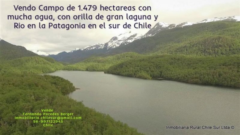 Vendo Campo de 1.479 hectáreas ubicado en el sector de Villa Tapera, Aisen en el sur de Chile