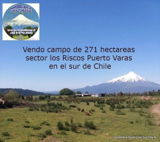 Agricola en Venta en Ruta 225 Puerto Varas, Llanquihue