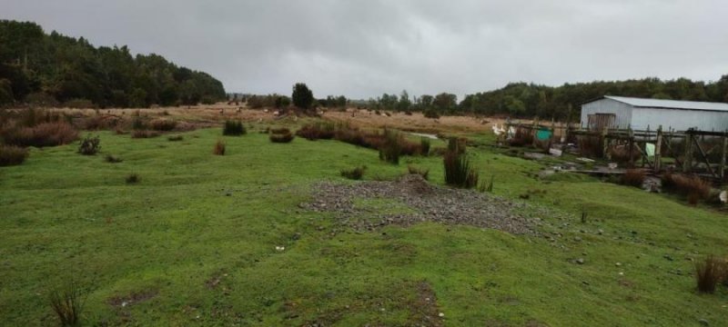 Foto Terreno en Venta en SECTOR CADIQUEN, Llanquihue - 67 hectareas - UFs 19.147 - TEV124901 - BienesOnLine