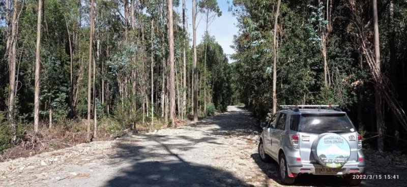 Agricola en Venta en Chamiza Puerto Montt, Llanquihue