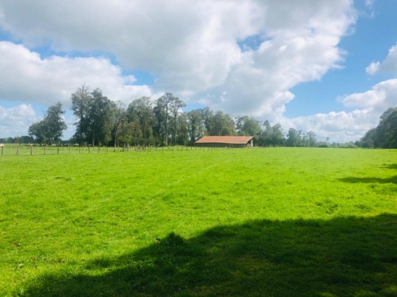 Foto Agricola en Venta en Puerto Octay, Osorno - 150 hectareas - $ 1.275.000.064 - AGV100832 - BienesOnLine