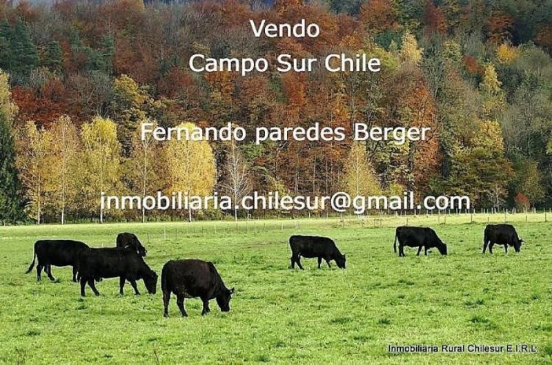 Agricola en Venta en  Purranque, Osorno