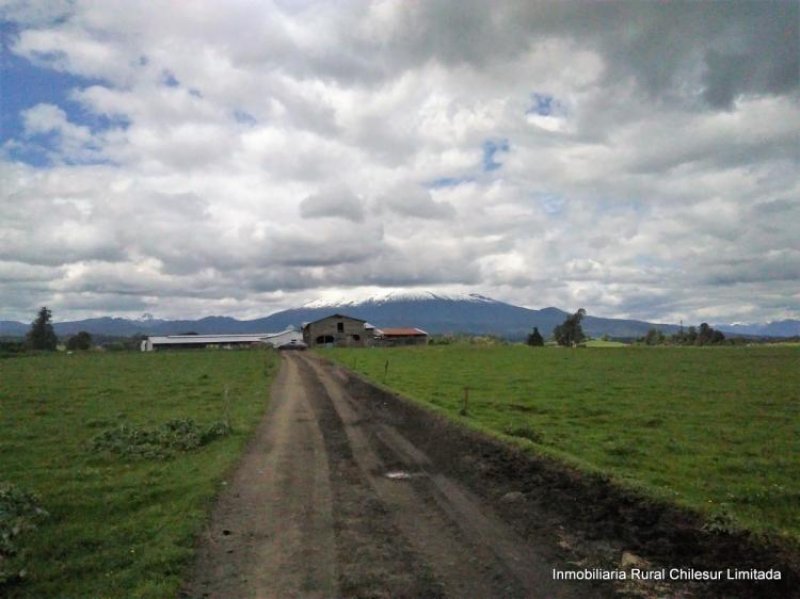 Agricola en Venta en  Puerto Octay, Osorno