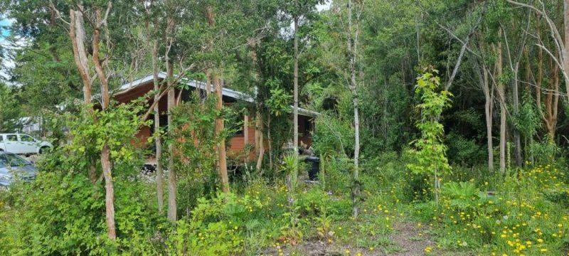 Casa en Venta en  Cruce Navarro, Llanquihue