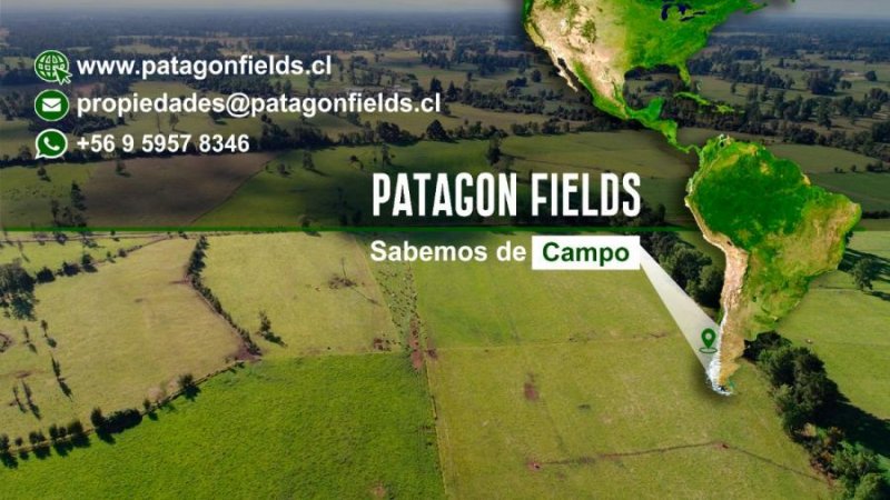 Foto Agricola en Venta en Río Negro, Osorno - 122 hectareas - $ 1.837.500.000 - AGV132981 - BienesOnLine