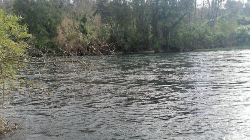 Agricola en Venta en  Puerto Octay, Osorno