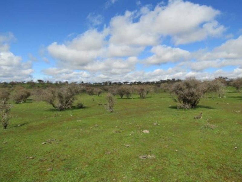 Terreno en Venta en  La Estrella, Cardenal Caro