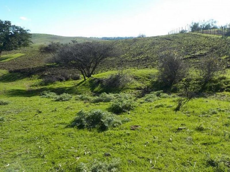 Agricola en Venta en  Melipilla, Melipilla