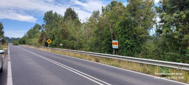 Parcela en Venta en  Puerto Varas, Llanquihue