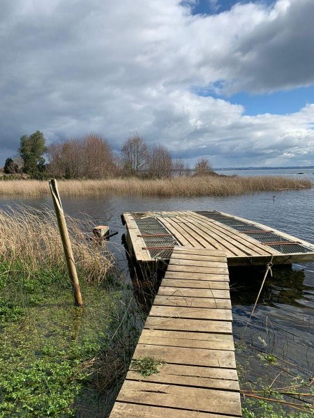 Vendo parcela a Orilla de Lago Llanquihue