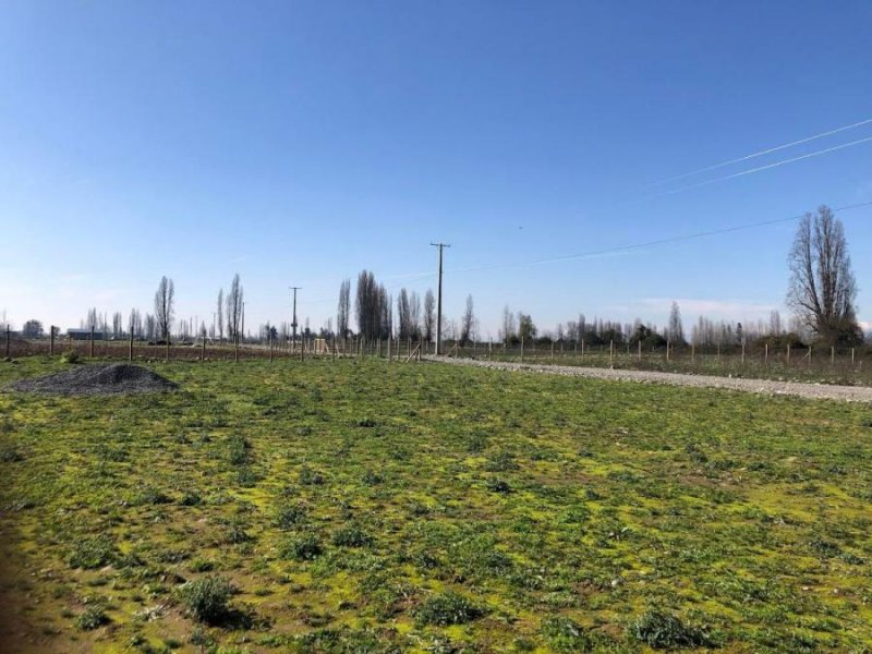 Parcela en Venta en Agricola Colbún, Linares