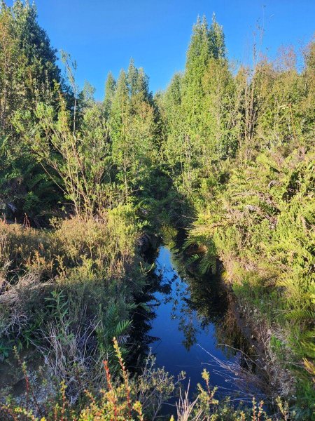 Terreno en Venta en  Ancud, Chiloe