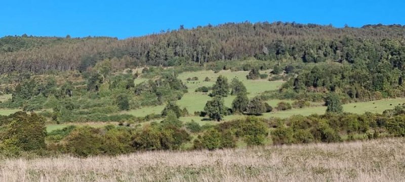 Parcela en Venta en Los Riscos Ruta 225 camino a ensenada, Llanquihue