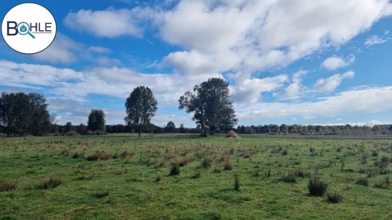 Loteo en Venta en  Los Muermos, Llanquihue