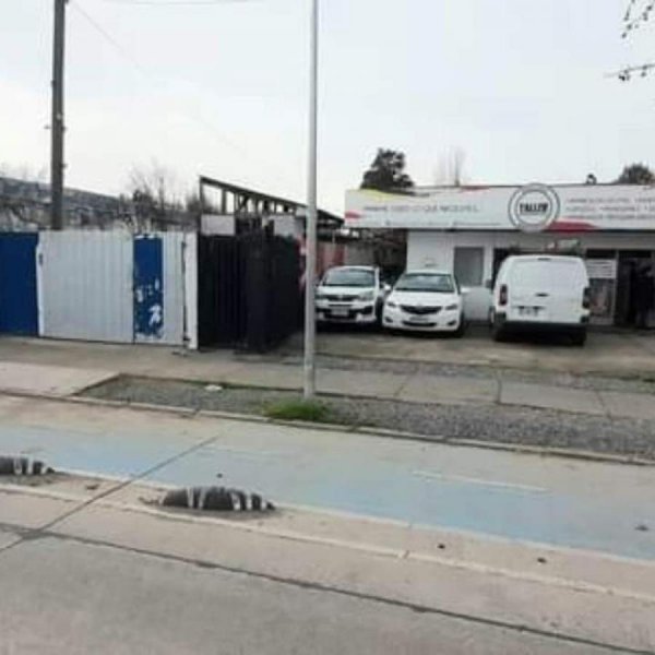 Comercial en Venta en  Santa Cruz, Colchagua