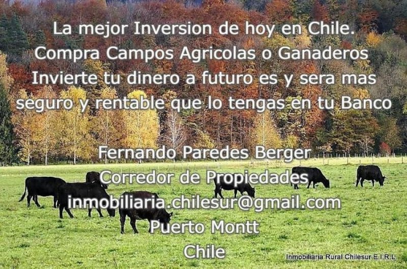 Agricola en Venta en Sur de Chile, Cochamó, Chaitén, Palena, Aysén Puerto Montt, Llanquihue