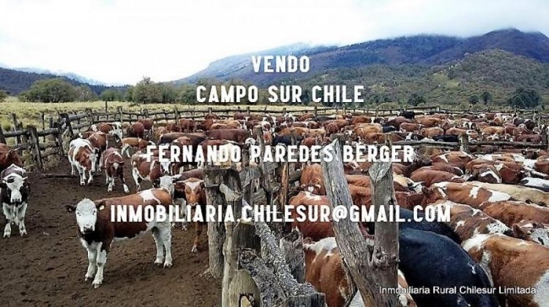 Agricola en Venta en  Lonquimay, Malleco