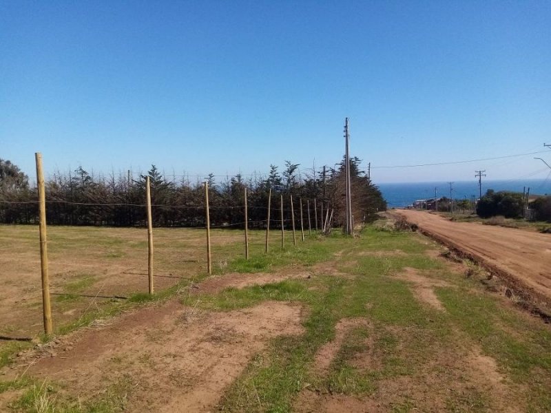 Sitio en Venta en La Ballena Terrazas de quinquelles, Valparaiso