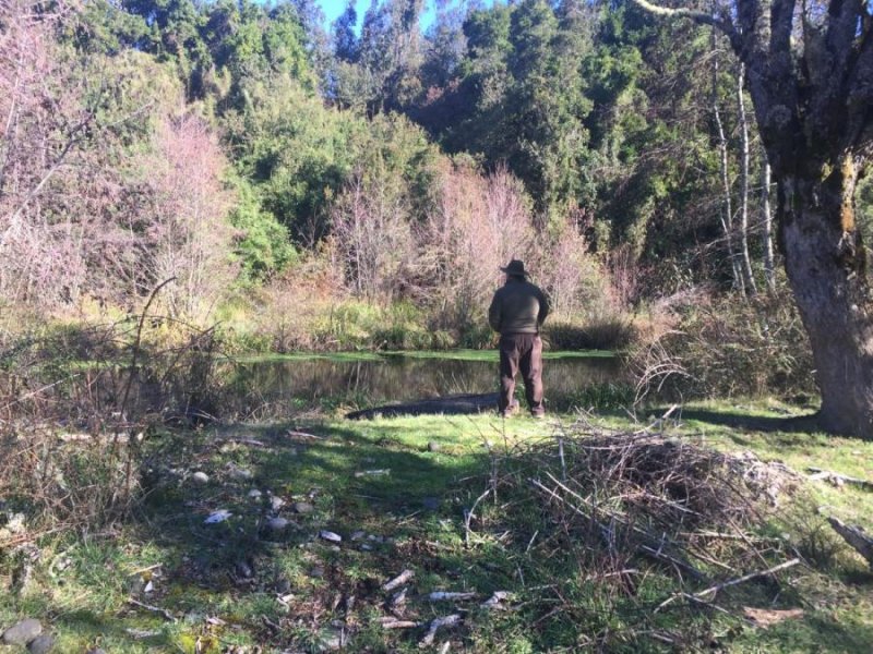 Terreno en Venta en  villarrica, Cautin