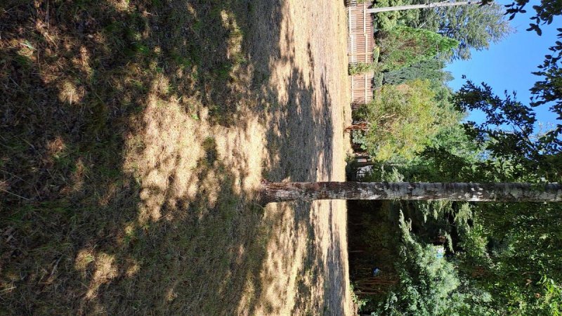 Terreno en Venta en molco bajo villarrica, Cautin