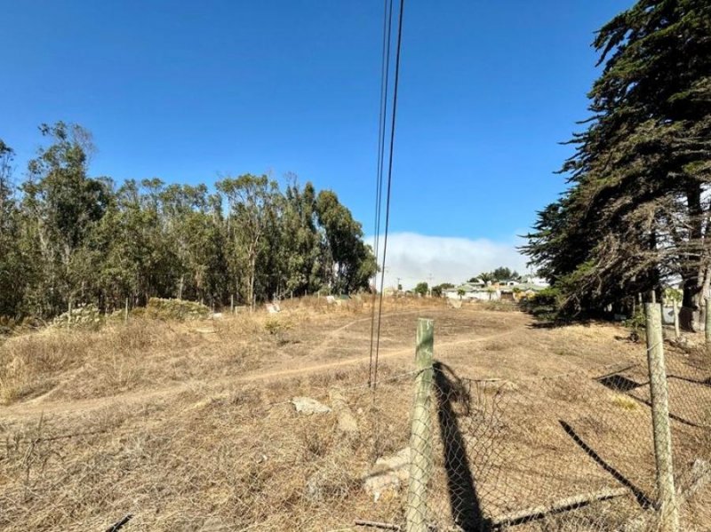 Foto Terreno en Venta en costera, Las Cruces, Valparaiso - UFs 5.000 - TEV149688 - BienesOnLine