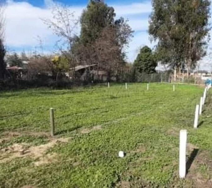 Terreno en Venta en  Santa Cruz, Colchagua