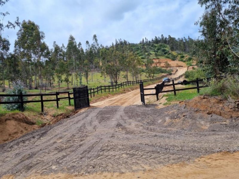 Parcela en Venta en Santa Cruz Peralillo, Curicó