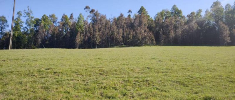 Terreno en Venta en  Osorno, Osorno