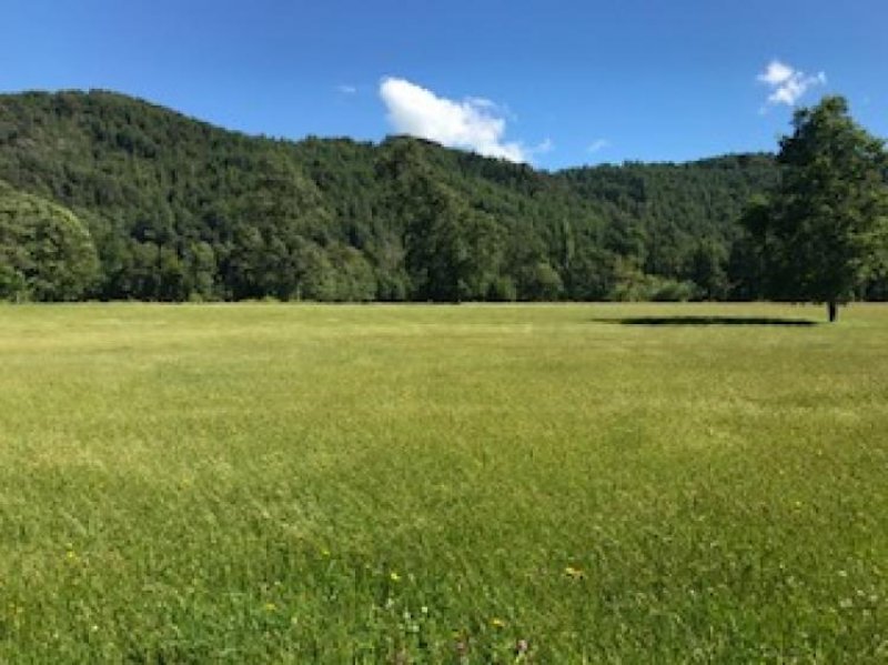 Agricola en Venta en Catripulli Pucón, Cautin