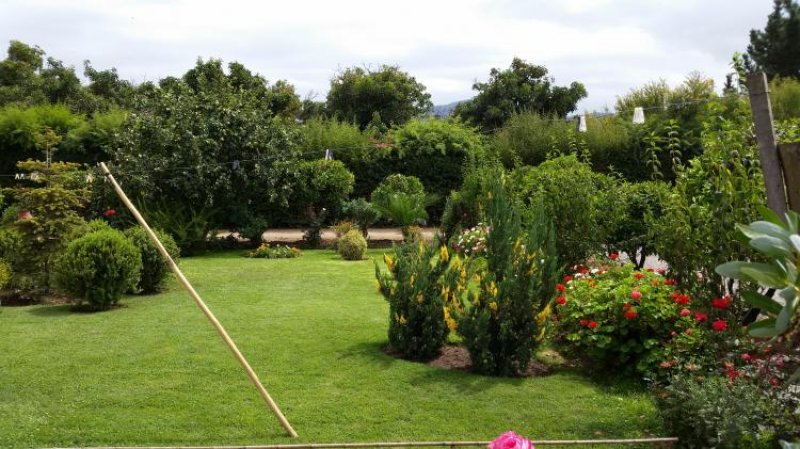 Agricola en Venta en  Melipilla, Melipilla