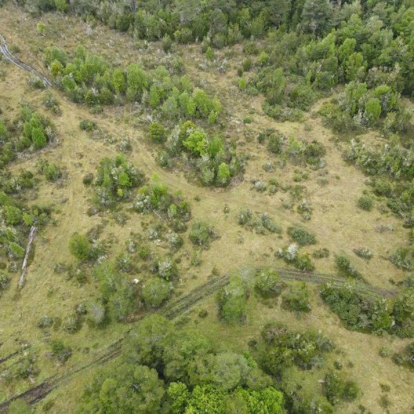 Venta Campo Las Chilcas - Maullín