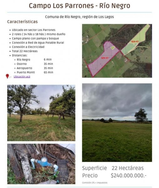 Agricola en Venta en Los Parrones Río Negro, Osorno