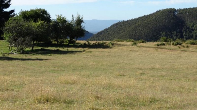 Agricola en Venta en Sector Las Cuyas, Fresia, X región de Los Lagos. Fresia, X región de Los Lagos, Llanquihue