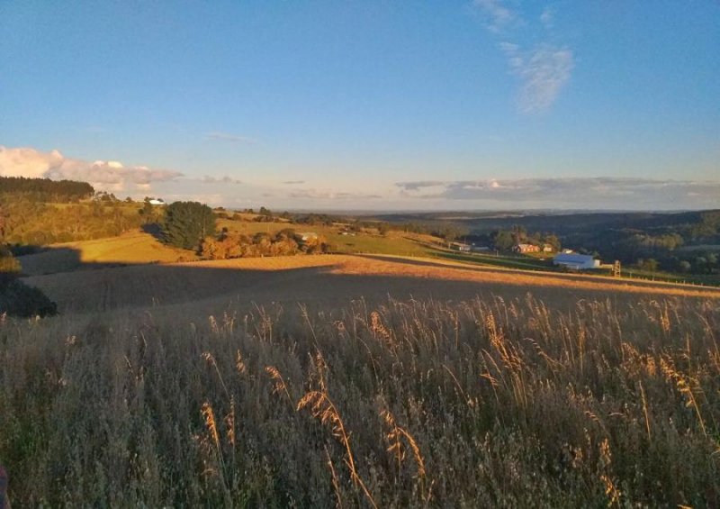 Agricola en Venta en  Fresia, Llanquihue