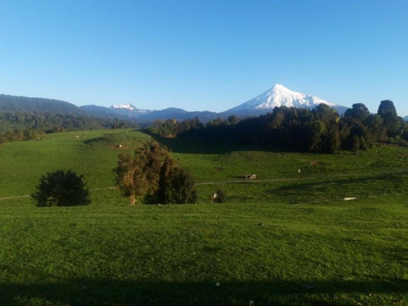 Parcela en Venta en  Puerto Octay, Osorno