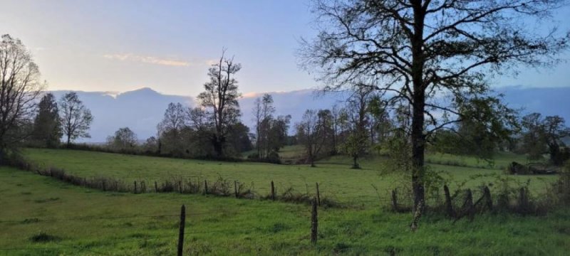 Agricola en Venta en Aguas Frias Fresia, Llanquihue