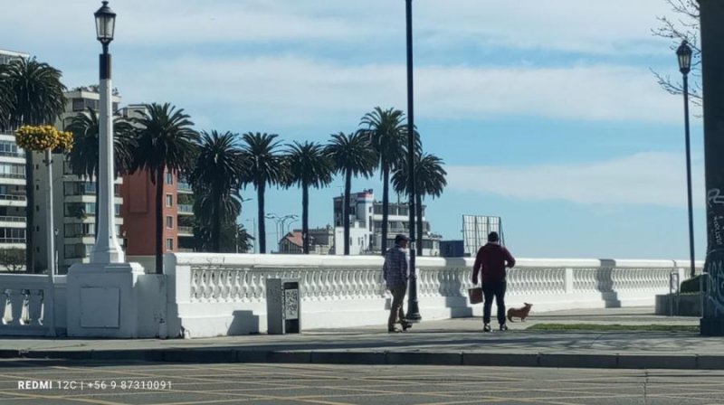 Foto Departamento en Venta en Residencial, Costa, Valparaiso - $ 180.000.000 - DEV143343 - BienesOnLine