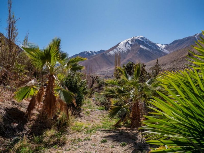 Parcela en Venta en Valle del Elqui Horcón, Elqui