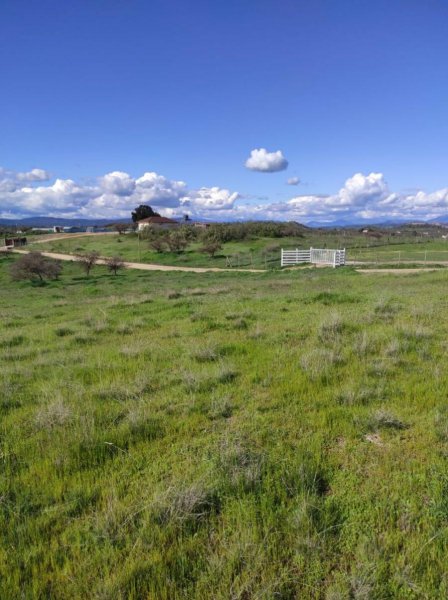 Agricola en Venta en  Litueche, Cardenal Caro