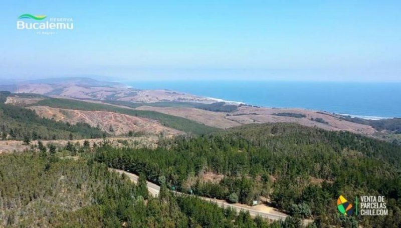 Parcela en Venta en Pichilemu Bucalemu, Cardenal Caro