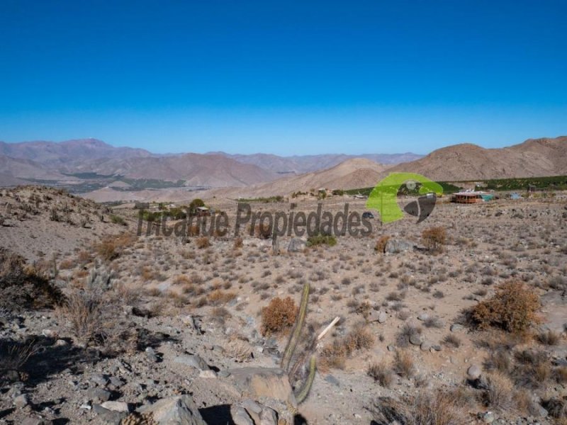 Venta de Parcela en sector Mamalluca (Vicuña, Valle del Elqui), 10.000 m2. $60 millones 