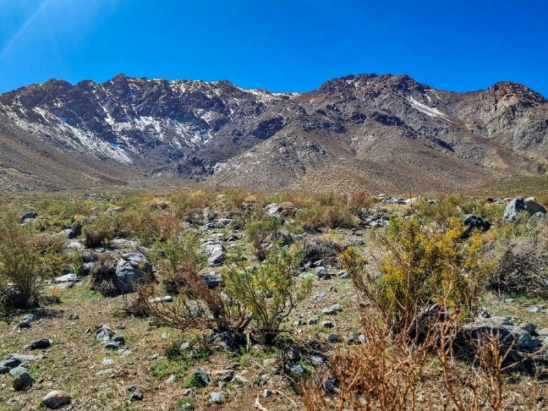 Parcela en Venta en Valle del Elqui El Pangue, Elqui