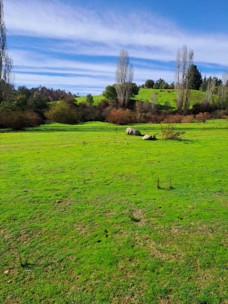 Terreno en Venta en Sector puente 7 Florida, Concepción