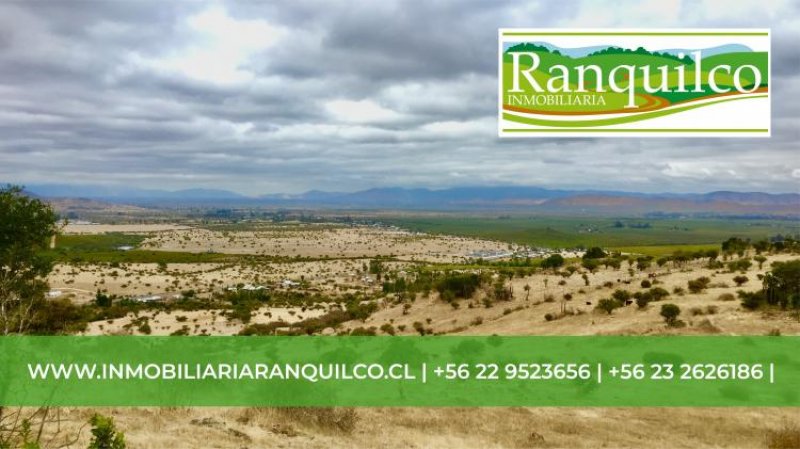 Foto Parcela en Venta en marchihue, ruta H-20, Cardenal Caro - 1 hectareas - $ 12.990.000 - PAV81032 - BienesOnLine